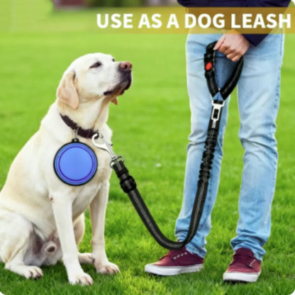Blazin LED Dog Leash