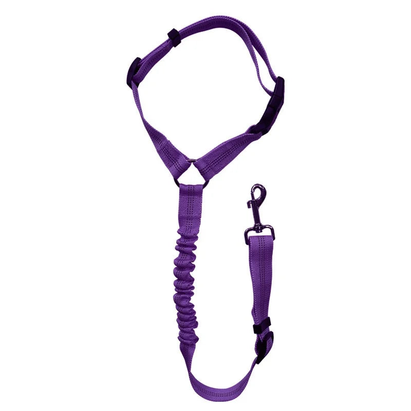 Blazin LED Dog Leash