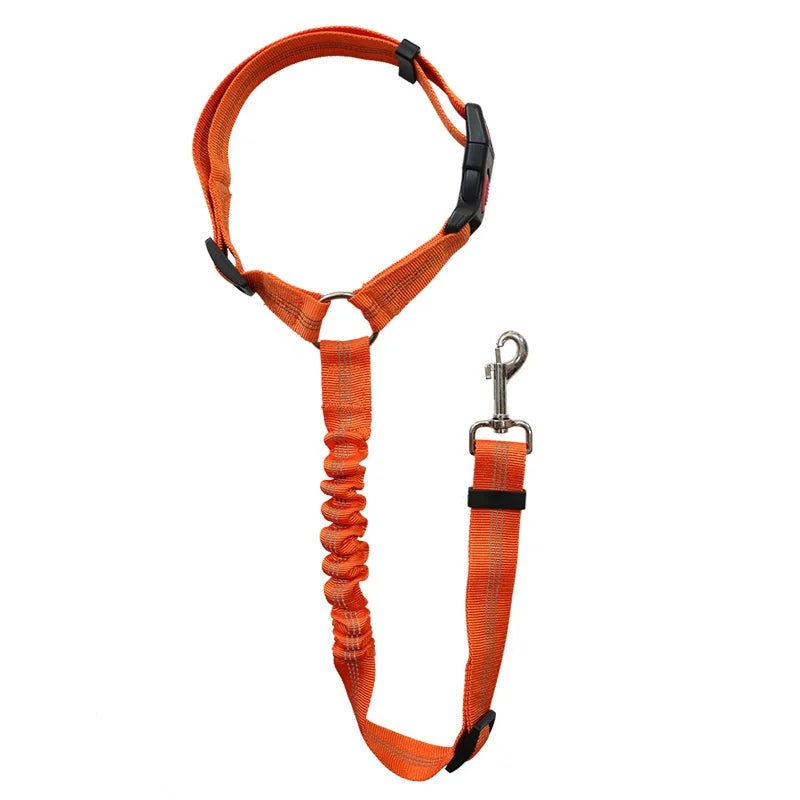 Blazin LED Dog Leash