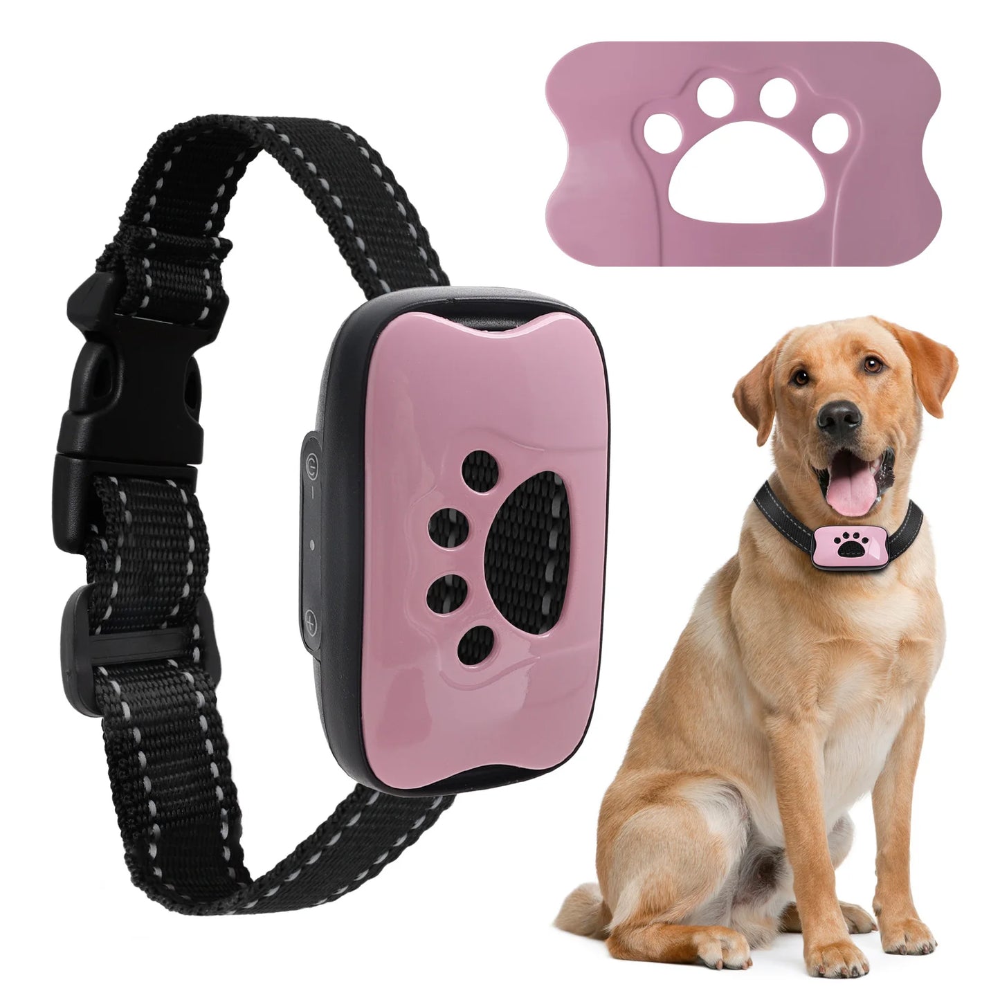 Humane Dog Collar