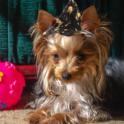 Pet Halloween Wizard Costume