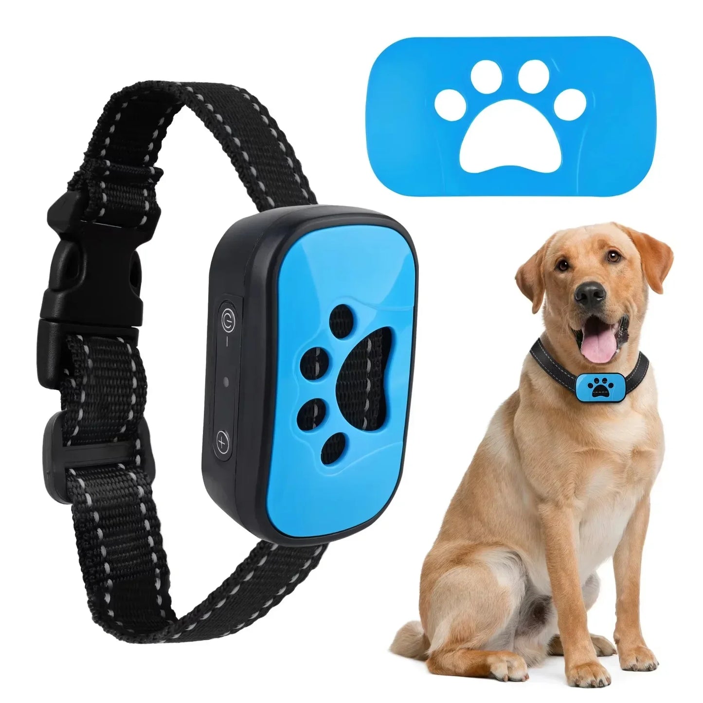 Humane Dog Collar