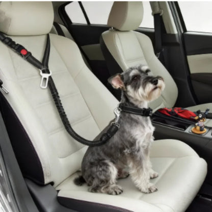 Blazin LED Dog Leash