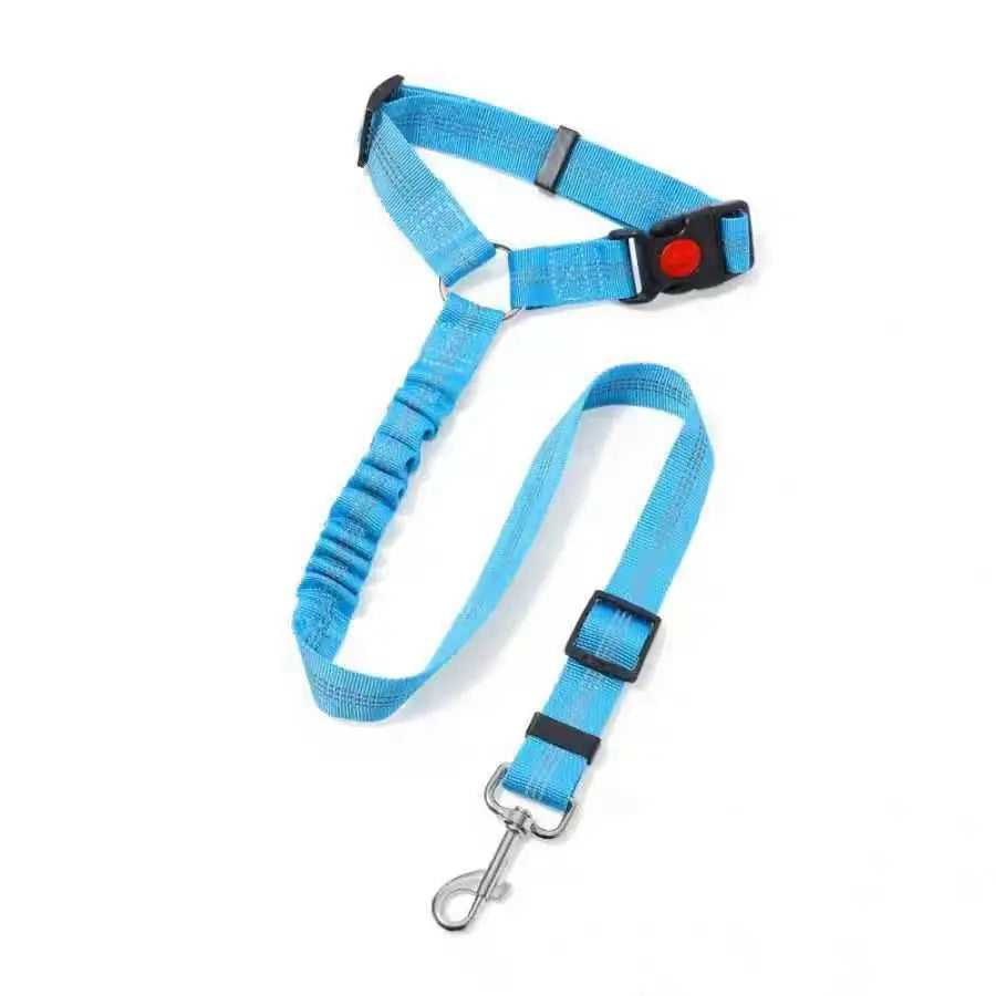 Blazin LED Dog Leash
