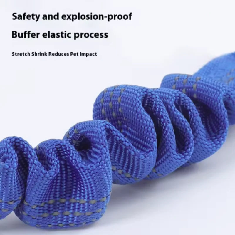 Blazin LED Dog Leash