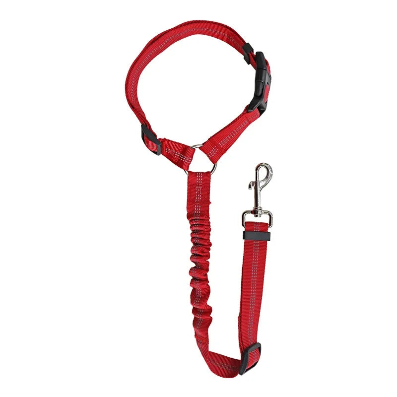 Blazin LED Dog Leash