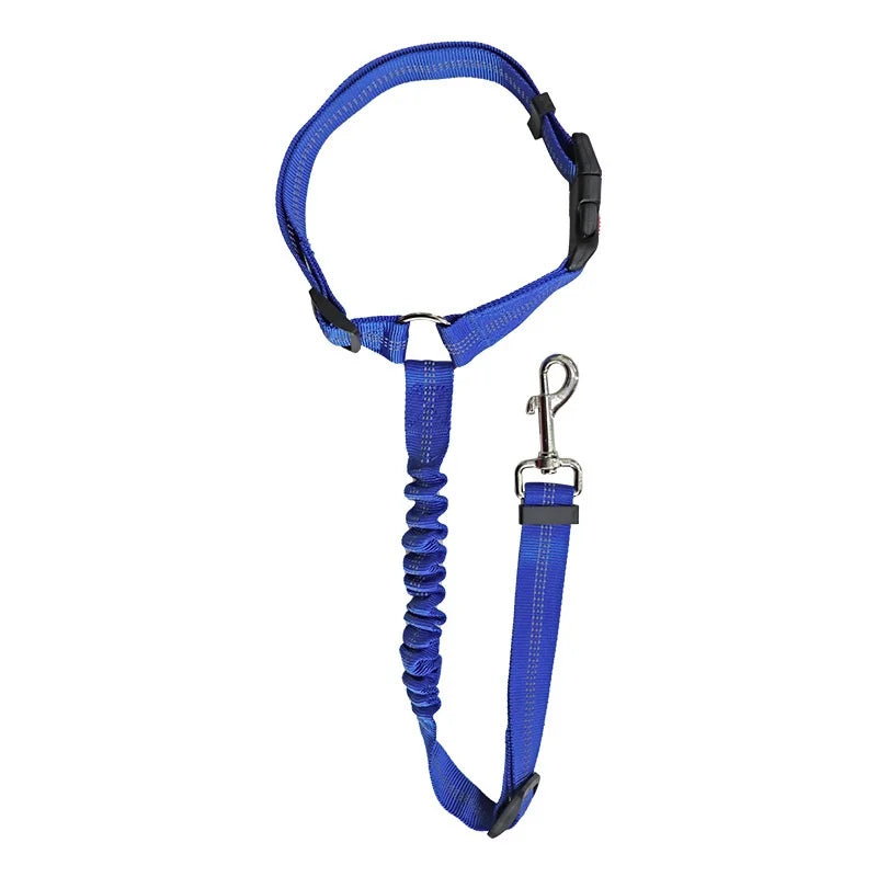 Blazin LED Dog Leash