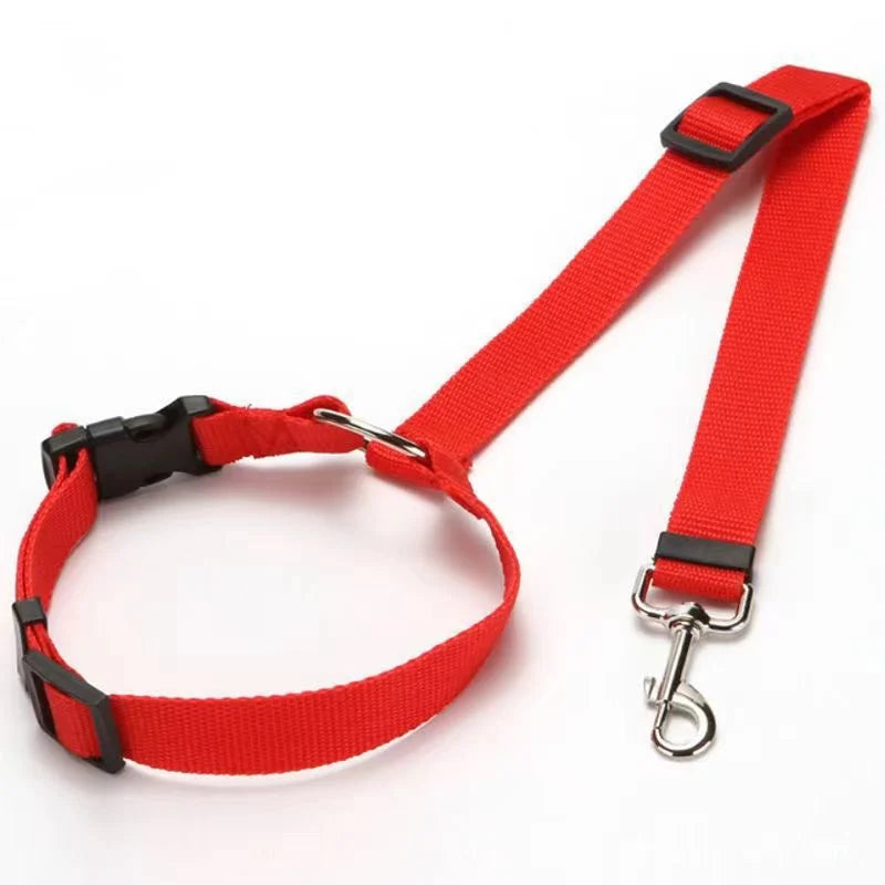 Blazin LED Dog Leash