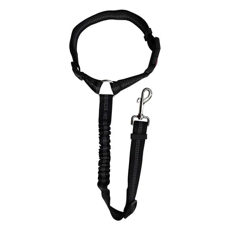 Blazin LED Dog Leash