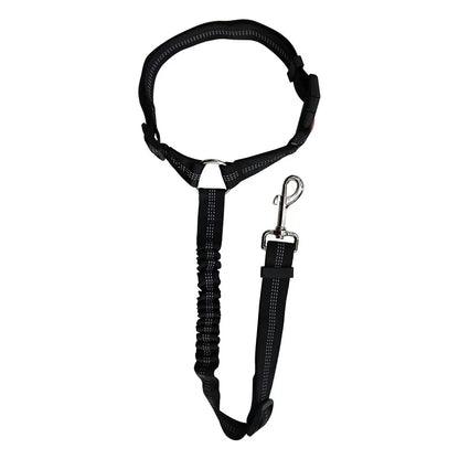 Blazin LED Dog Leash
