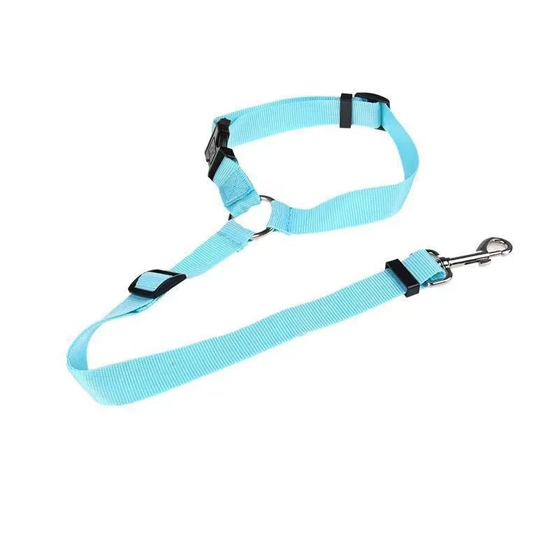 Blazin LED Dog Leash