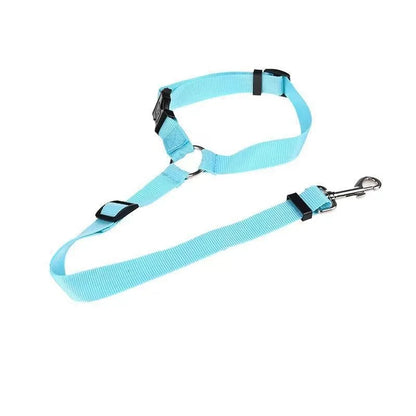 Blazin LED Dog Leash