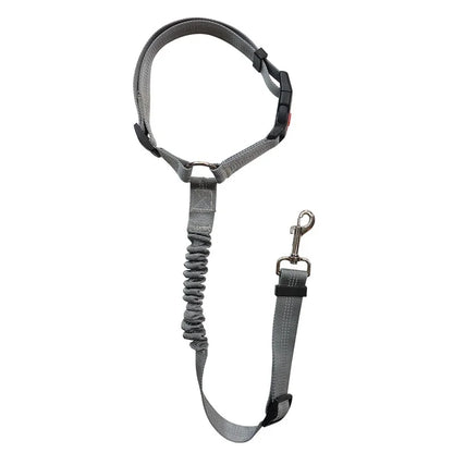 Blazin LED Dog Leash
