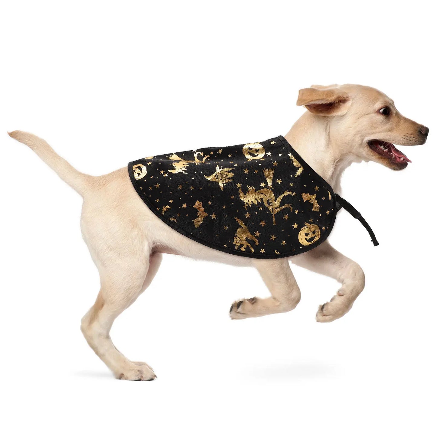 Pet Halloween Wizard Costume