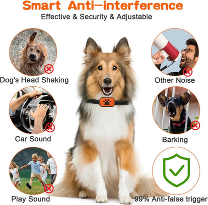 Humane Dog Collar