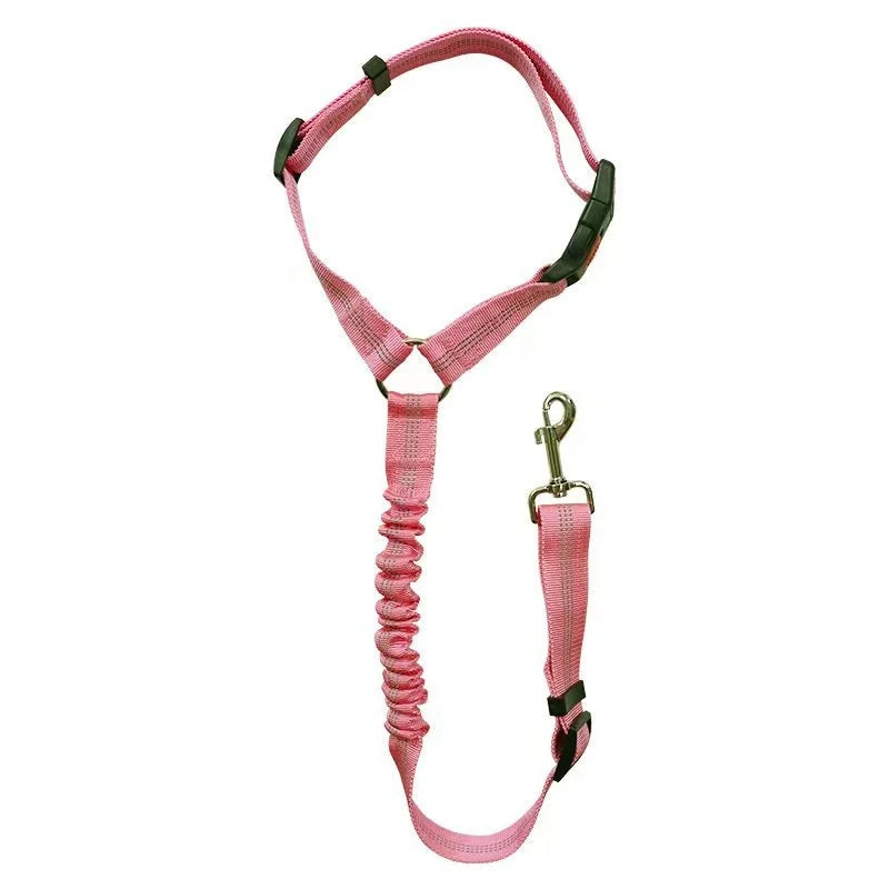 Blazin LED Dog Leash