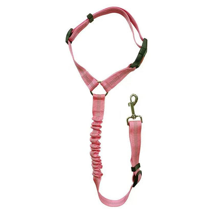 Blazin LED Dog Leash