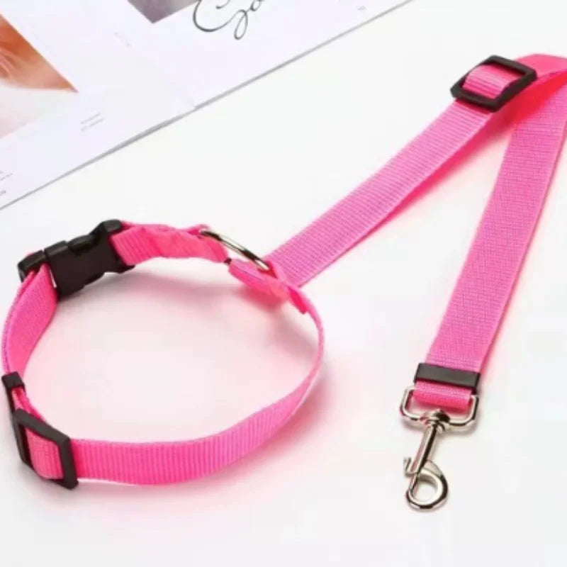 Blazin LED Dog Leash