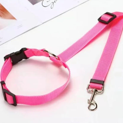 Blazin LED Dog Leash