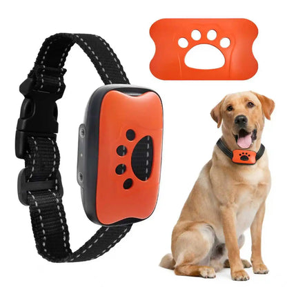 Humane Dog Collar