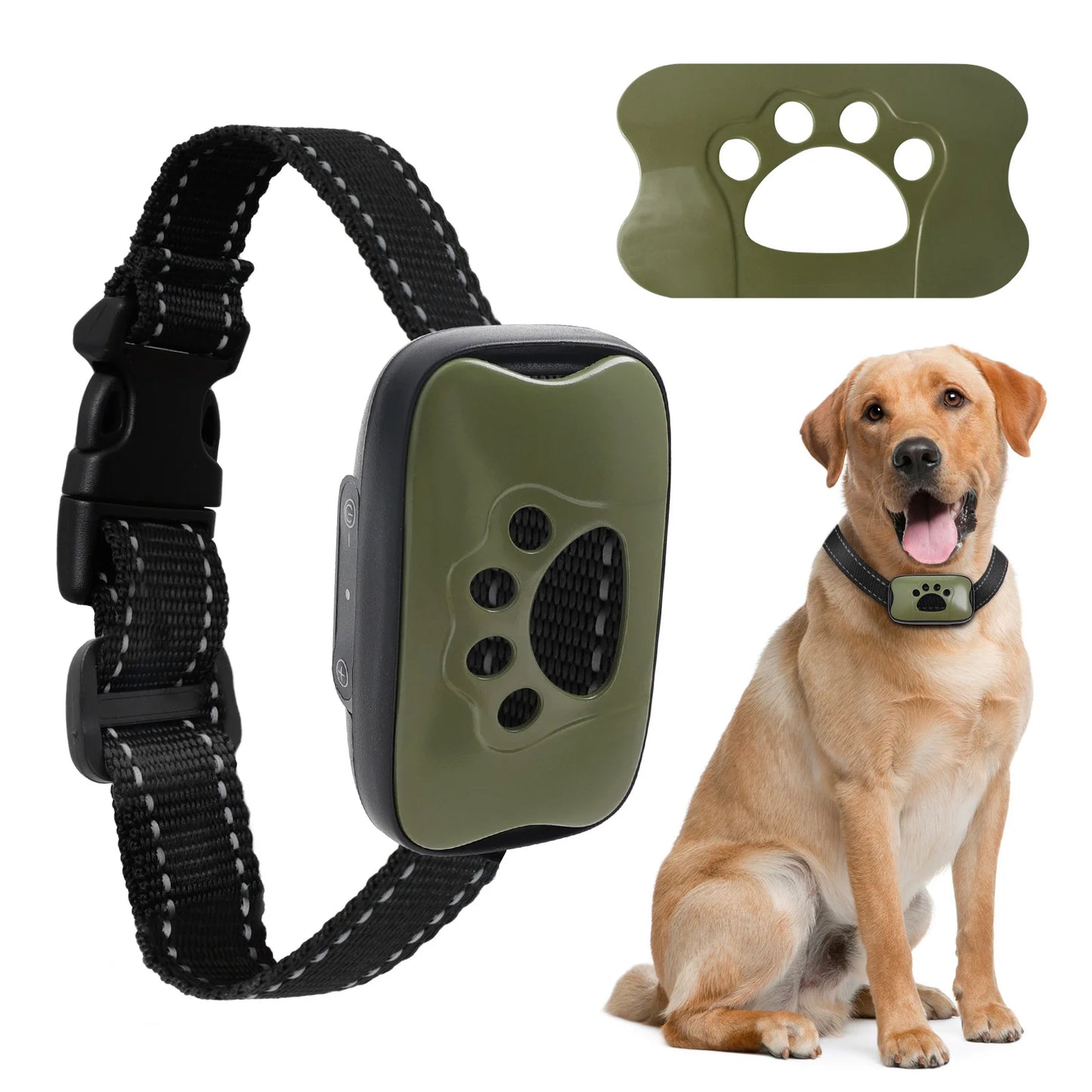 Humane Dog Collar