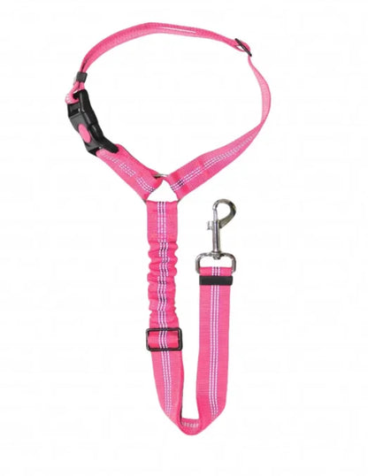 Blazin LED Dog Leash