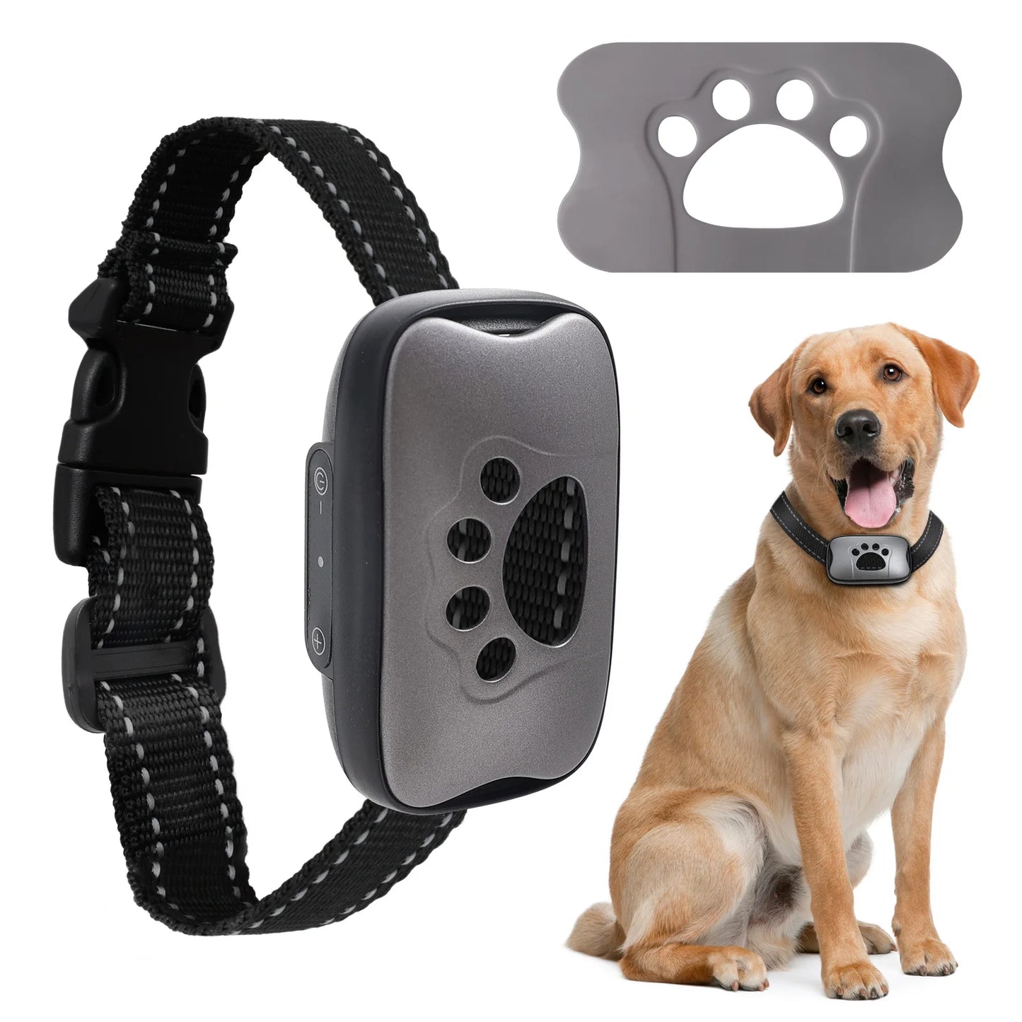 Humane Dog Collar