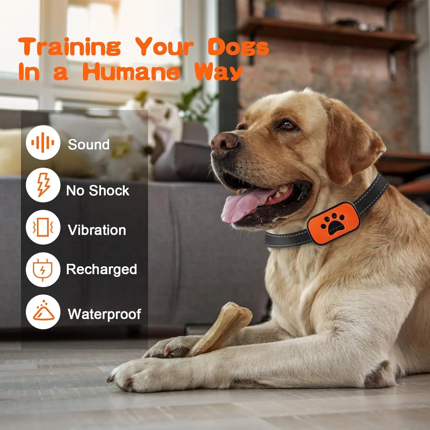 Humane Dog Collar