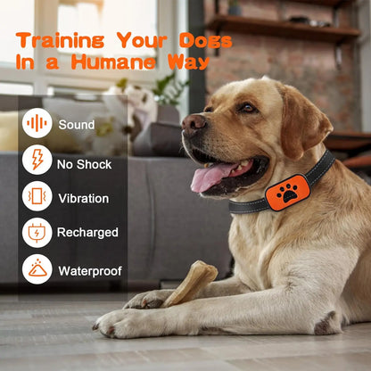 Humane Dog Collar