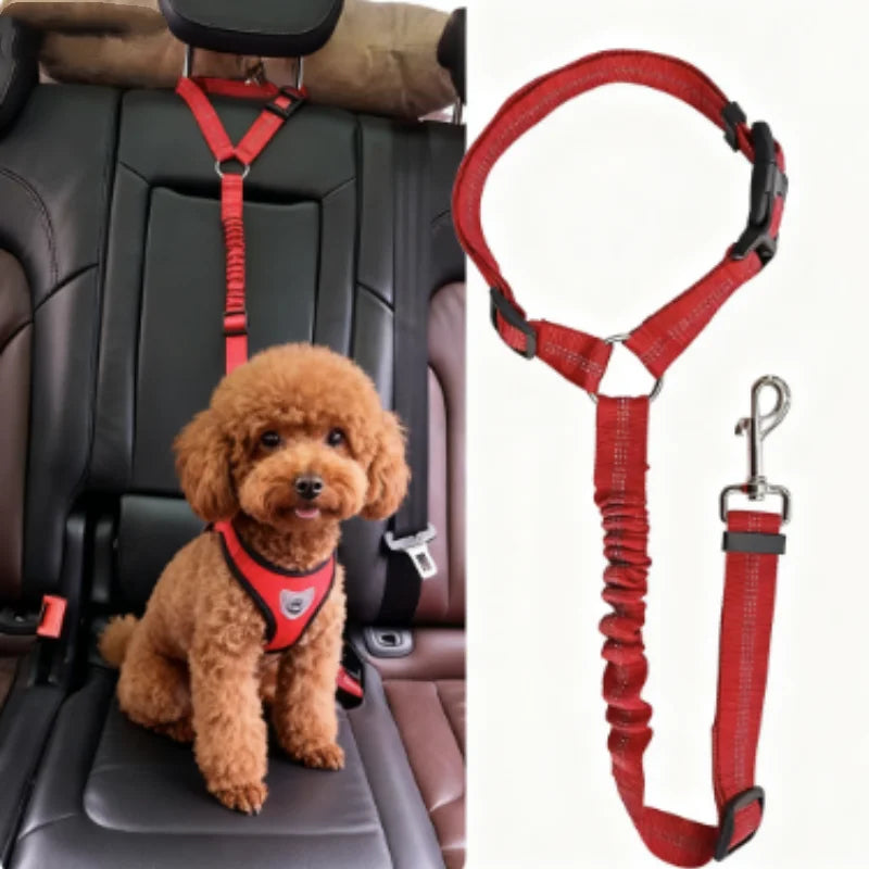 Blazin LED Dog Leash