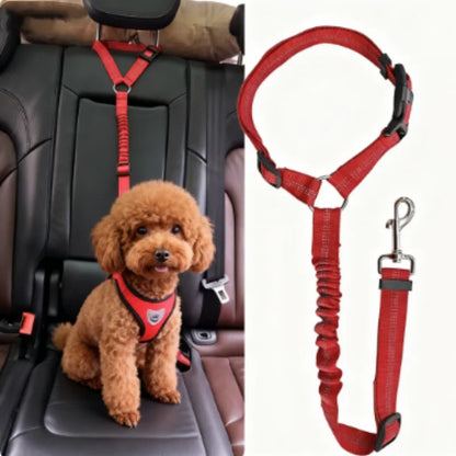 Blazin LED Dog Leash
