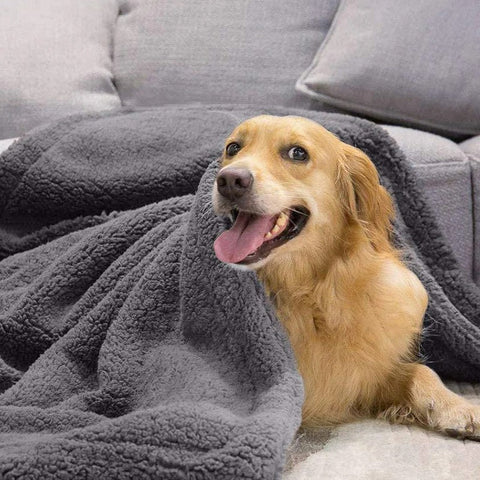 Fluffy Waterproof Pet Blanket