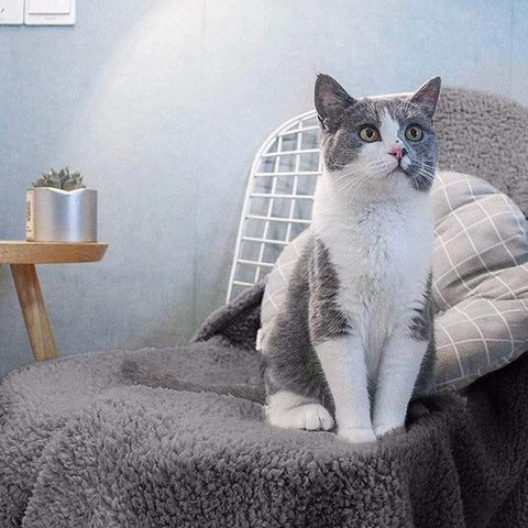 Fluffy Waterproof Pet Blanket
