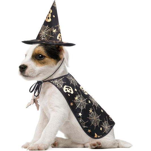 Pet Halloween Wizard Costume