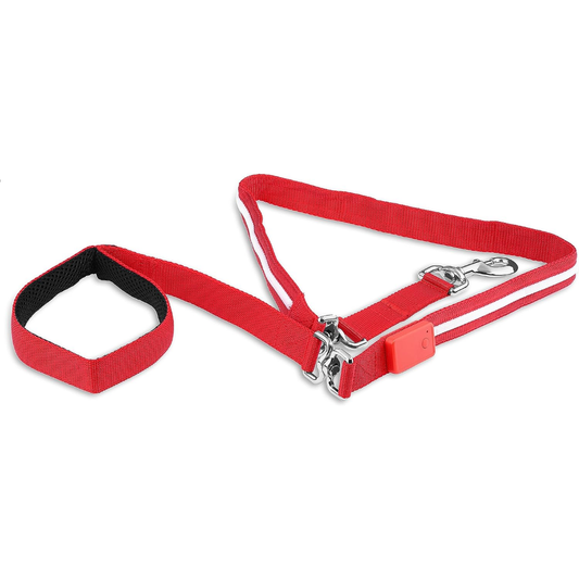 Blazin LED Dog Leash