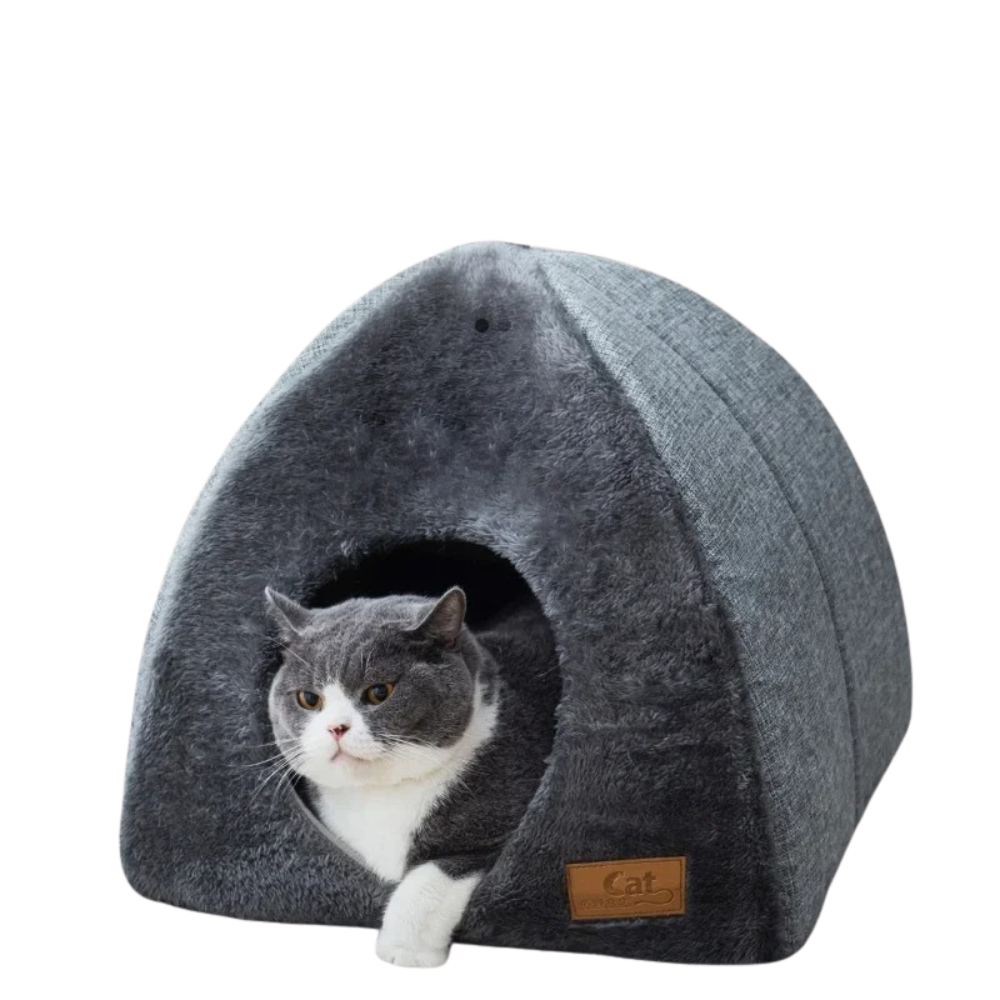 Cat Tent Bed
