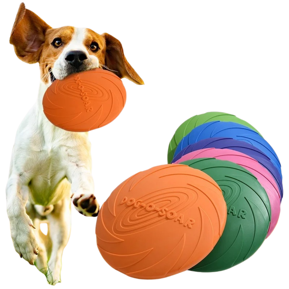 Dog Frisbee