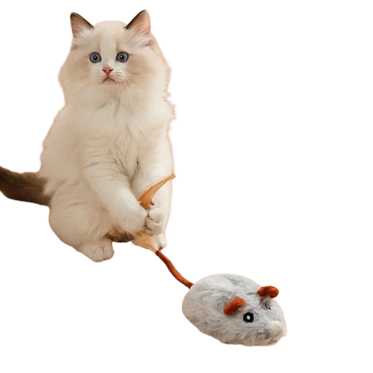 Interactive Cat Mouse Toy