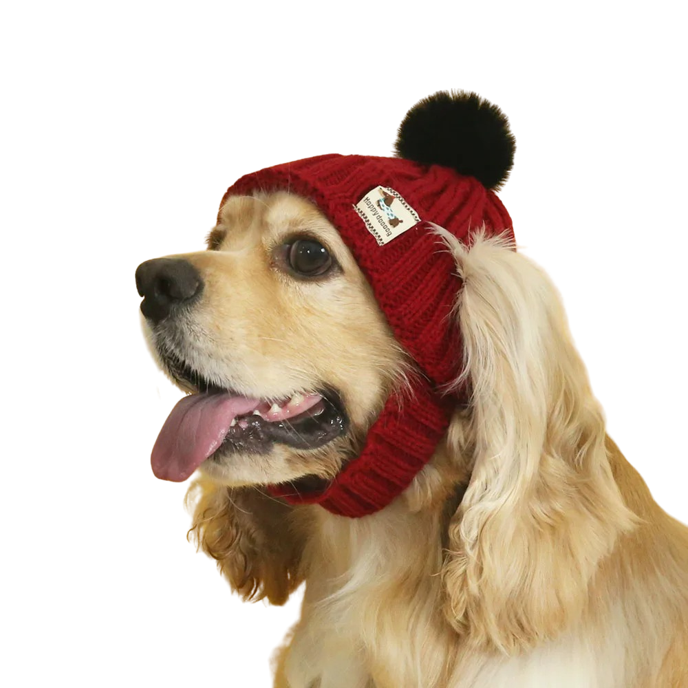Dog Winter Knit Hat