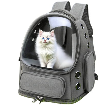 Clear Cat Backpack