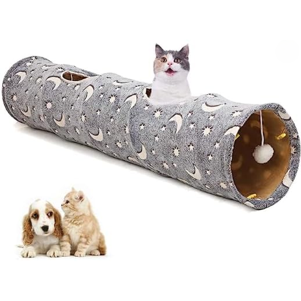 Illuminating Cat Tunnel