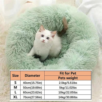 Comfortable Plushy Pet Bed