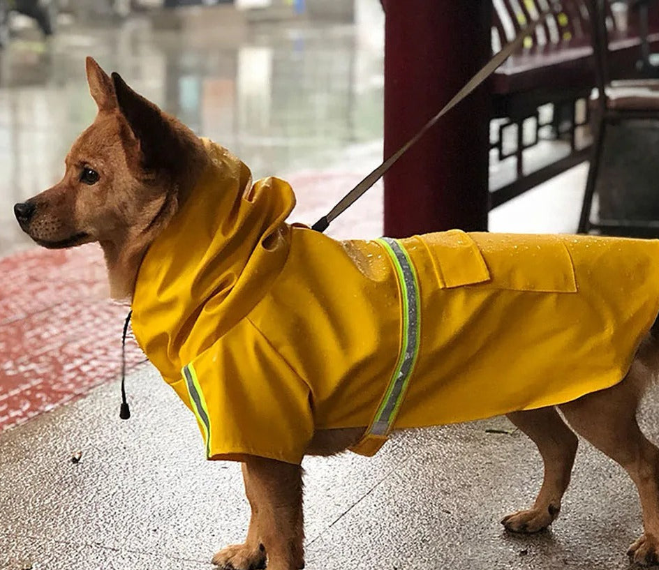 Dog Raincoat