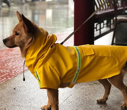 Dog Raincoat