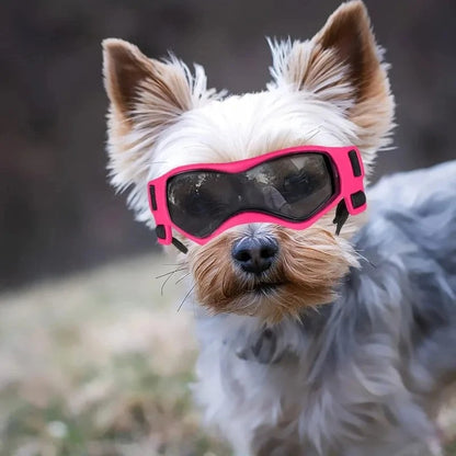 Pet Goggles