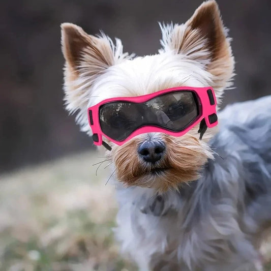 Pet Goggles