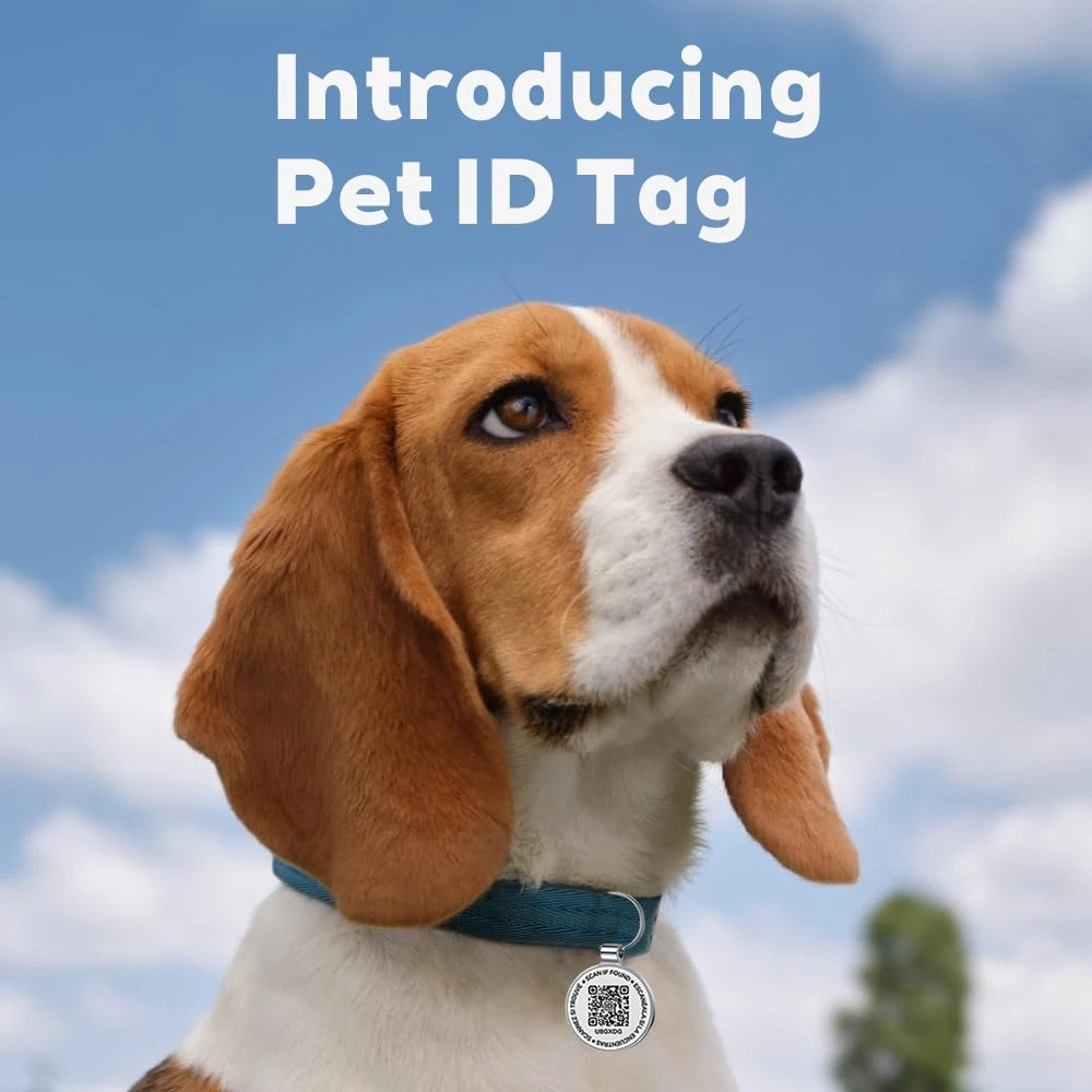 QR Code Pet ID Tags