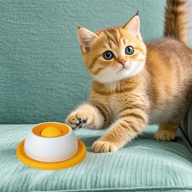 Pet Lick Plate