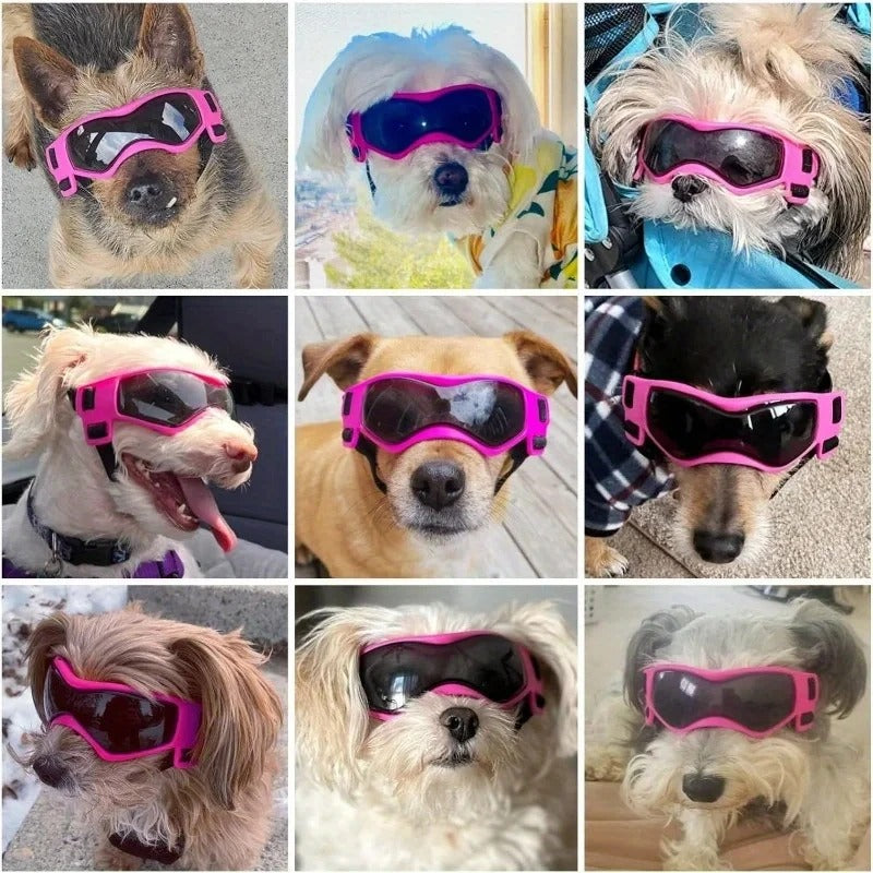 Pet Goggles