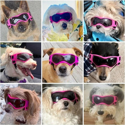 Pet Goggles